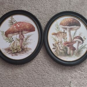Hobby Lobby Black Framed Botanical Mushroom Art